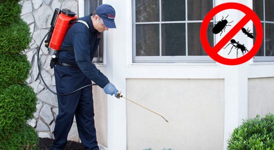 Hassa Kemirgen İlaçlama böcek ilaçlama ve haşere kontrolü — ilaclama-tr.com